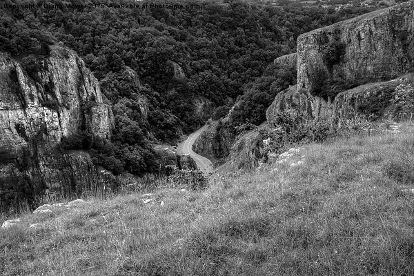  Cheddar Gorge   Picture Board by Diana Mower