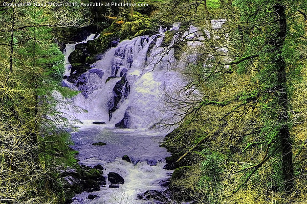  Swallow Falls Betws-y-Coed  Picture Board by Diana Mower