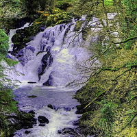 Buy canvas prints of  Swallow Falls Betws-y-Coed  by Diana Mower