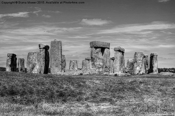 Stonehenge  Picture Board by Diana Mower