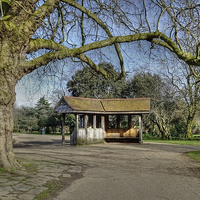 Buy canvas prints of  Finsbury Park by Diana Mower