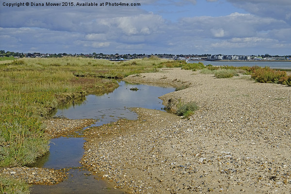  Mersea Stone  Picture Board by Diana Mower
