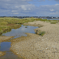 Buy canvas prints of  Mersea Stone  by Diana Mower