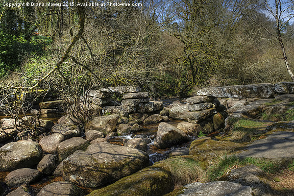 The East Dart, Dartmoor  Picture Board by Diana Mower