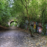 Buy canvas prints of  Parkland Walk London by Diana Mower