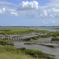 Buy canvas prints of Tollesbury Marshes,  Essex  by Diana Mower