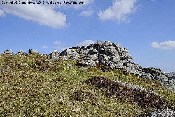  Bell  Tor, Dartmoor Picture Board by Diana Mower