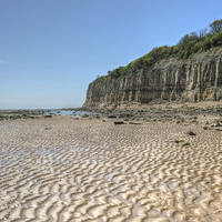 Buy canvas prints of  Pett Level, East Sussex by Diana Mower