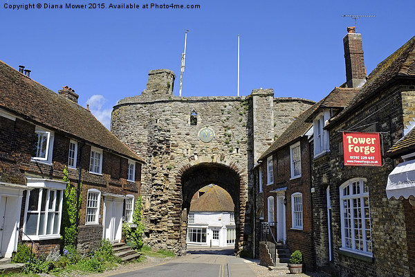  Rye Landgate  Arch, East Sussex. Picture Board by Diana Mower