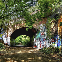 Buy canvas prints of Parkland Walk London  by Diana Mower