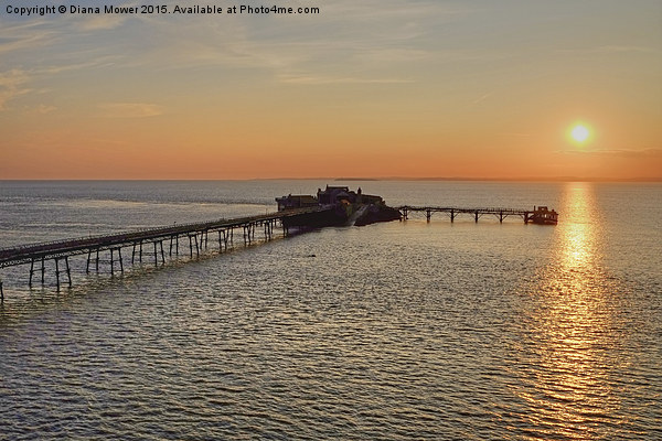  Birnbeck Pier Sunset  Picture Board by Diana Mower