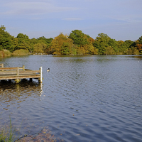 Buy canvas prints of  Connaught Water Epping by Diana Mower