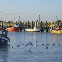 Buy canvas prints of  Rye Harbour, East Sussex by Diana Mower