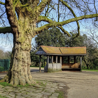 Buy canvas prints of  Finsbury Park, London by Diana Mower