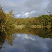 Buy canvas prints of Epping Forest Lake  by Diana Mower