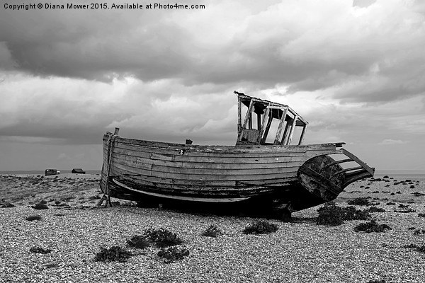  Dungeness Picture Board by Diana Mower