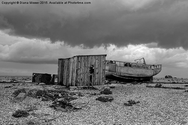  Dungeness   Kent Picture Board by Diana Mower