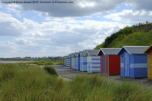  Pakefield  Beach Huts Picture Board by Diana Mower