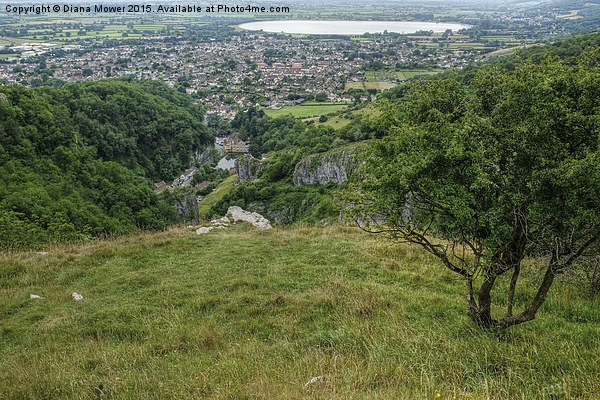  Cheddar Gorge  Picture Board by Diana Mower