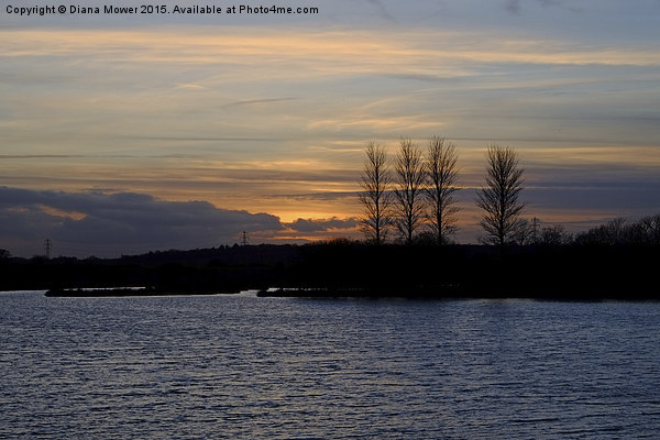  Abberton Reservoir Sunset Picture Board by Diana Mower