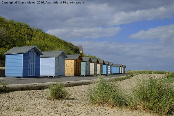  Pakefield  Beach Huts Picture Board by Diana Mower