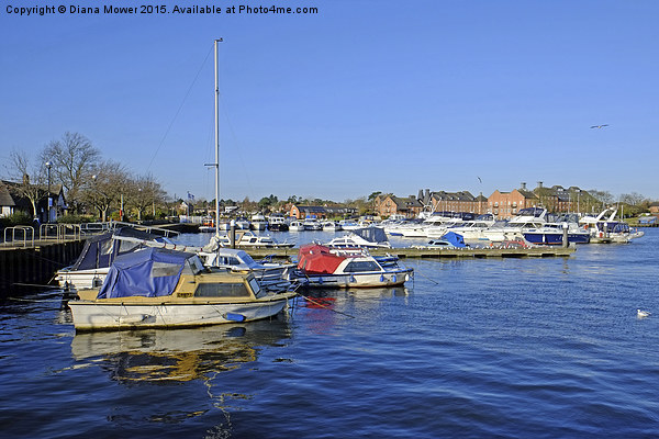 Oulton Broad  Picture Board by Diana Mower
