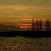 Buy canvas prints of  Golden Sunset at Abberton Reservoir  by Diana Mower