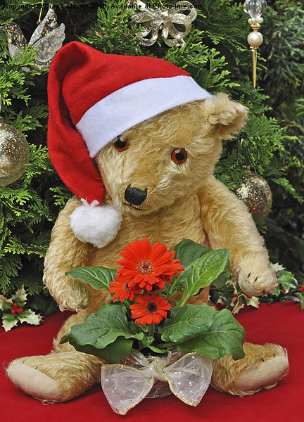 Christmas Bear  Picture Board by Diana Mower