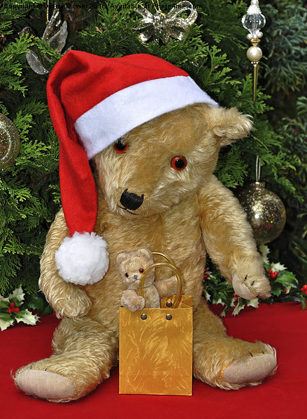  Christmas Bears Picture Board by Diana Mower