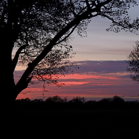 Buy canvas prints of  Essex Sunset by Diana Mower