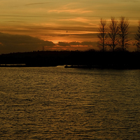Buy canvas prints of  Abberton Reservoir Sunset by Diana Mower
