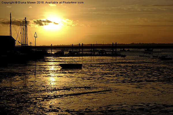  West Mersea Sunset Picture Board by Diana Mower
