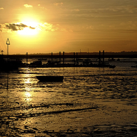 Buy canvas prints of  West Mersea Sunset by Diana Mower