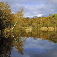 Buy canvas prints of Wake Valley Pond Epping  by Diana Mower