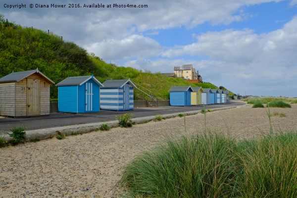 Pakefield  Beach Huts Picture Board by Diana Mower