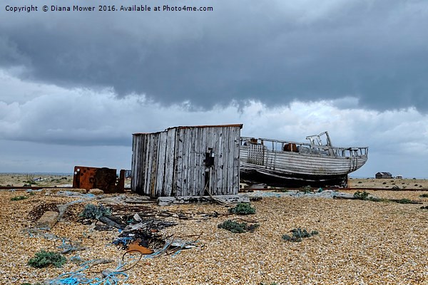 Dungeness Kent Picture Board by Diana Mower