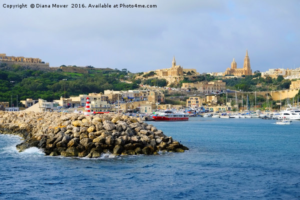 Gozo Harbour Picture Board by Diana Mower