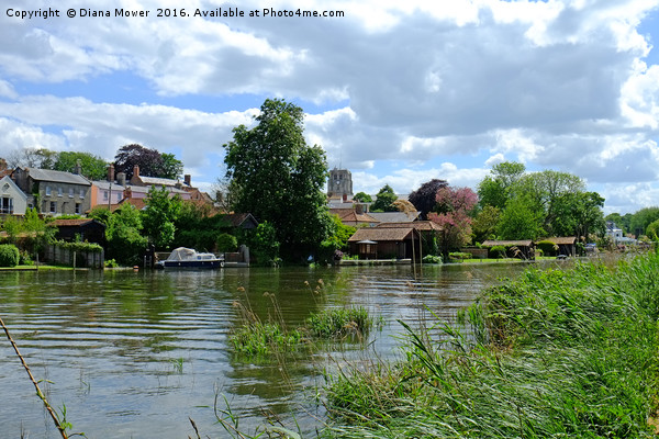 The River Waveney at Beccles Picture Board by Diana Mower