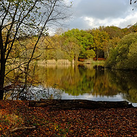Buy canvas prints of Wake Valley Pond, Epping. by Diana Mower