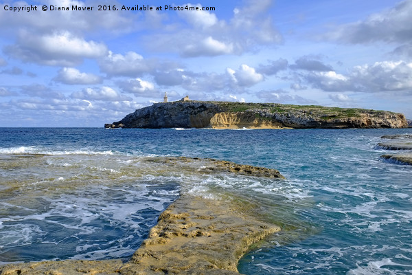 St Paul's Island Malta Picture Board by Diana Mower