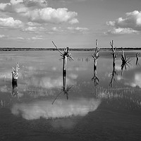 Buy canvas prints of High Tide, Tollesbury Marshes, Essex. by Diana Mower