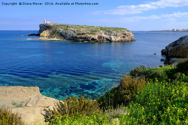 St Pauls Island Malta Picture Board by Diana Mower