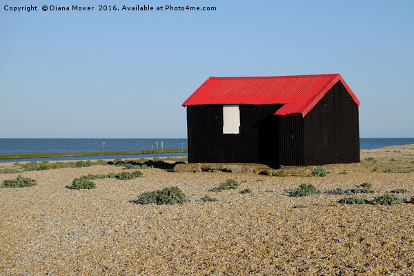 Red Roofed Hut, Rye Harbour Picture Board by Diana Mower