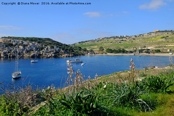 Mistra Bay Malta Picture Board by Diana Mower