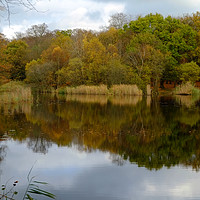 Buy canvas prints of Wake Valley Pond Epping by Diana Mower