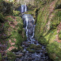 Buy canvas prints of Clampit Falls Devon by Diana Mower