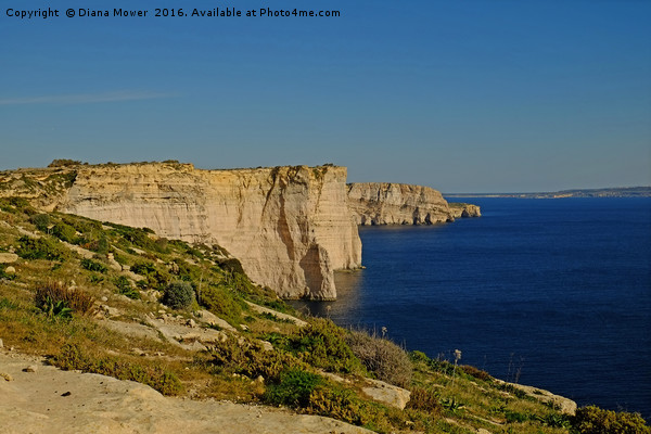 The Sanap Cliffs Gozo Picture Board by Diana Mower