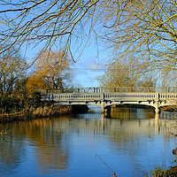 Buy canvas prints of River Stour, Melford, Suffolk by Diana Mower