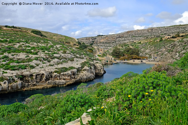 Mgarr ix-xini Bay,  Gozo Picture Board by Diana Mower