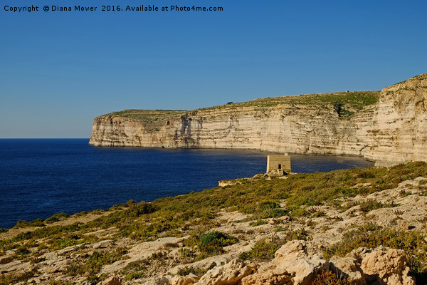 Xlendi, Gozo Island Picture Board by Diana Mower